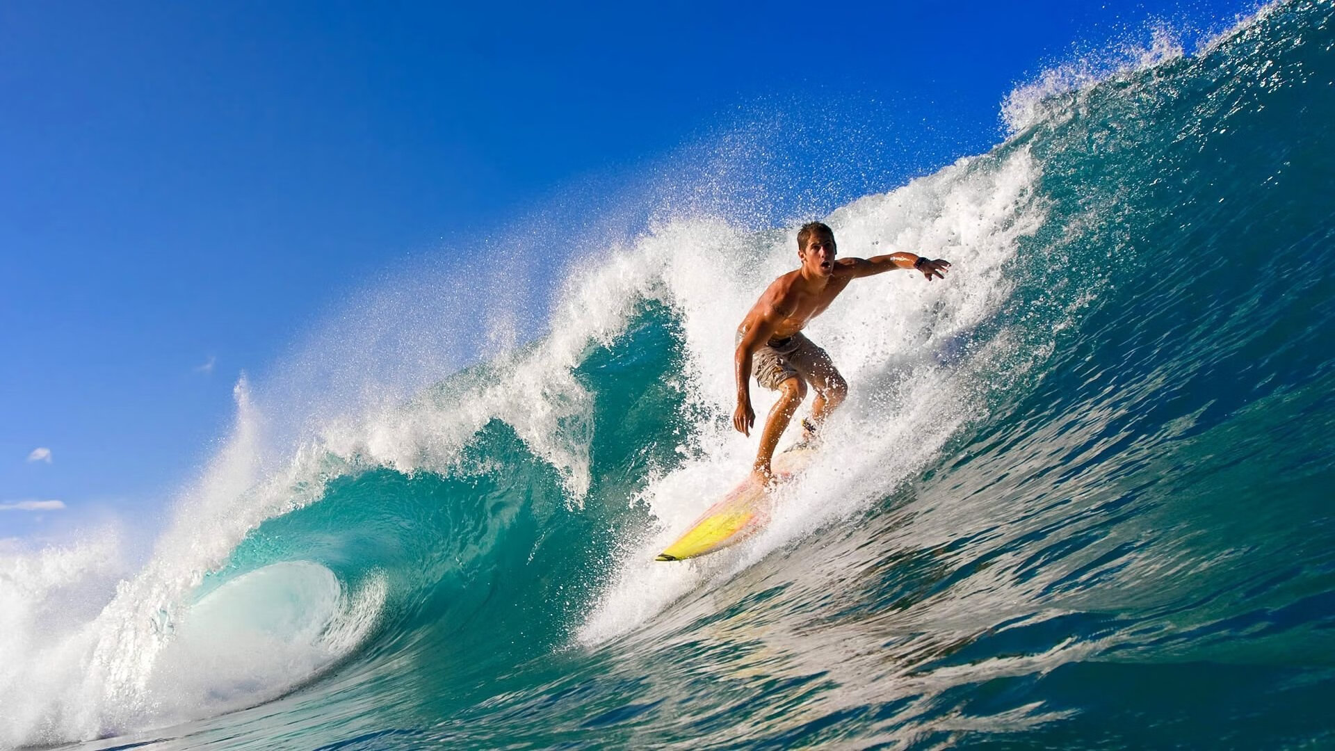 足球场馆智能系统全面上线，足球场管理系统app